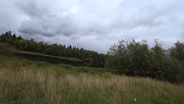 ОХОТА НА УТКУ С ПОДХОДА.ТАКИЕ ПОДХОДЫ БОЛЬШАЯ РЕДКОСТЬ смотреть онлайн