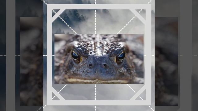 Звуки 🔊 природы 🌿🍃