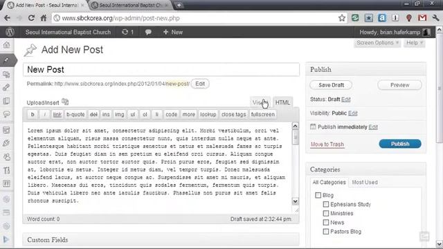 Using WordPress - Create New Blog Post смотреть онлайн
