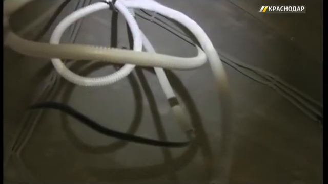 В школе №71 Краснодара завершается строительство быстровозводимого модуля на 300 мест смотреть онлайн