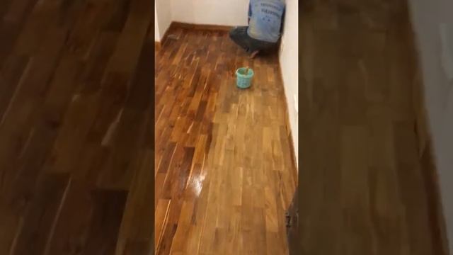 Wooden Floor Polishing After Sanding ||Part- 2|| Gurgao Call 9582013980