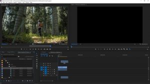 Фишки и лайфхаки Premiere Pro - Урок 2.mp4