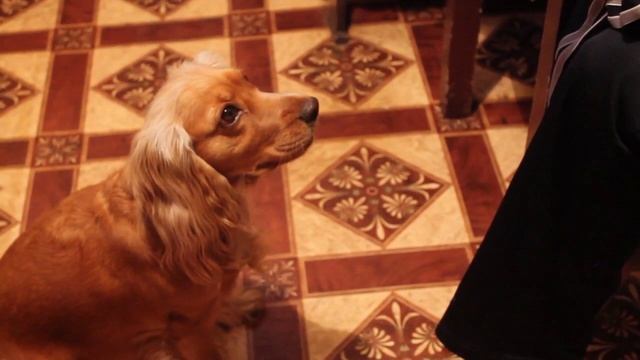 Жуля просит кушать смотреть онлайн