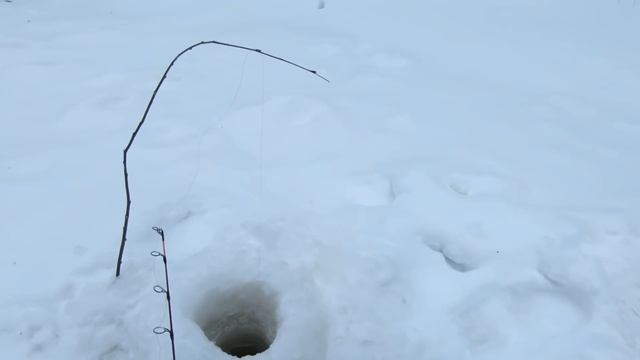 ПОИСКАЛ, ПОБУРИЛ И НАШЁЛ КЛЁВУЮ ЛУНКУ С РЫБОЙ! ПОЕХАЛ НА РЫБАЛКУ ОДИН И НЕ ПРОГАДАЛ! ОКУНЬ НЕ ДРУГ) смотреть онлайн