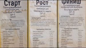 ВЫРАЩИВАНИЕ БРОЙЛЕРОВ НА МЯСО | Бизнес и жизнь в деревне