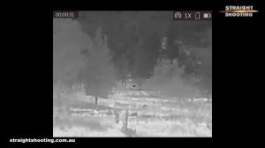 HIKMICRO Lynx Pro LE10 thermal imaging spotter review