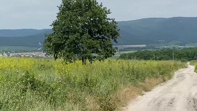 Природа Краснодарского Края Станица Раевская