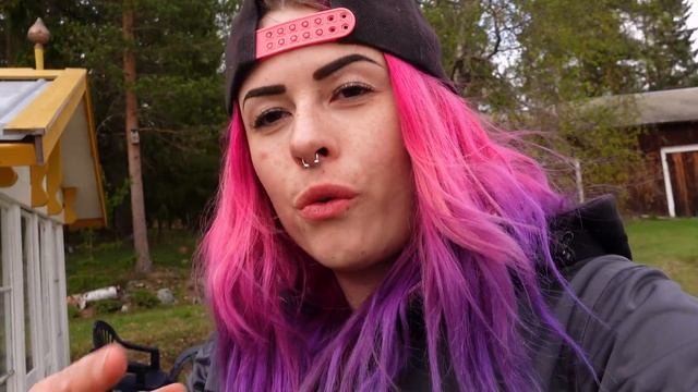 SPENDERAT 10.000 KR PÅ TRÄDGÅRDEN || Vlogg смотреть онлайн