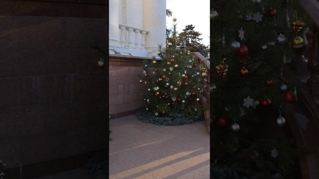 Собор Александра Невского в центре города, вертеп и колокола