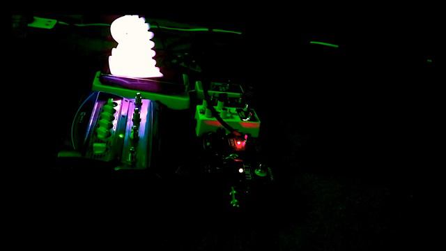 david strother—once and future dinosaur (edit 2) смотреть онлайн