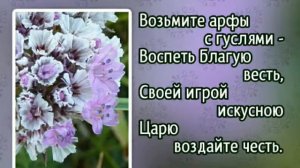 Гимны надежды 18 Воспойте песнь заветную (-)