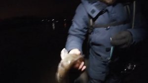 Ловля Судака на Спиннинг | Москва Река | Ловля на Воблеры