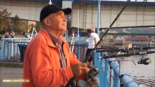 Путешествие в Сербию. Столица Сербии Белград. Прогулка по Белграду