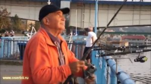 Путешествие в Сербию. Столица Сербии Белград. Прогулка по Белграду