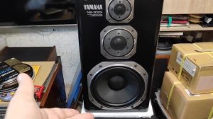Yamaha ns300X