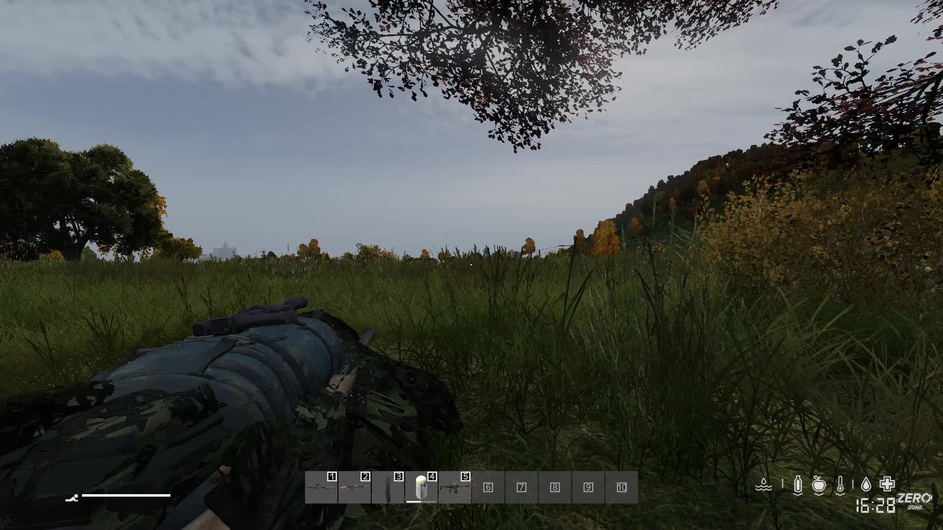 dayz