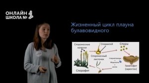 Высшие споровые растения: мхи, папоротники, хвощи и плауны. Биология ОГЭ.
