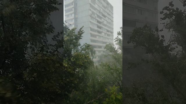 Тропический ливень какой-то сегодня в Москве 20.06.2024
