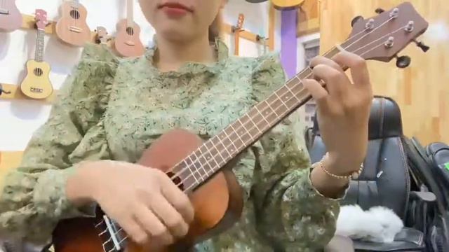 ĐÀN UKULELE SIZE CONCERT GIÁ RẺ UKU23R, GUITAR SINH VIÊN смотреть онлайн