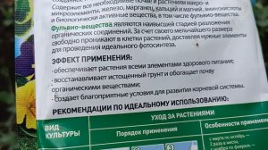 Горох. Чем подкормить? #горох#подкормка#органическоеудобрение#сапропель#опоры#