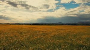 Колыбельная - Сэсэг Ринчинова