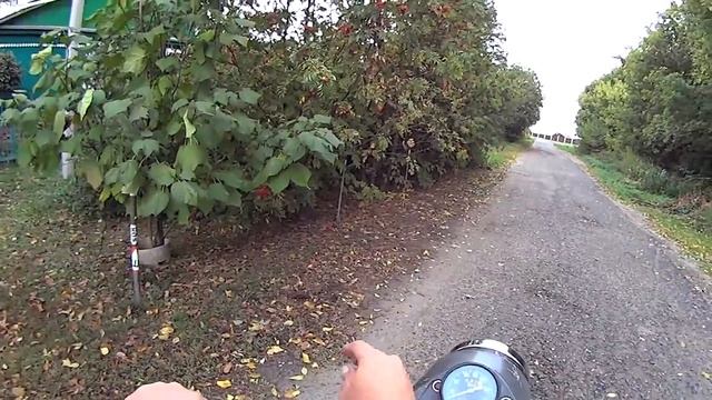 Сон Старого Байкера смотреть онлайн