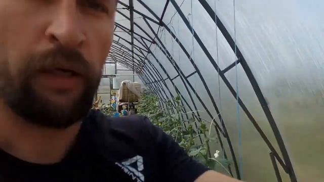 огурец F1 ГЕРМАН смотреть онлайн