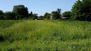 Как косить мотокосой траву на сено: полная инструкция и показ на практике