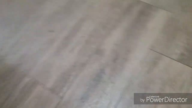 Полезные команды для вашей собаки смотреть онлайн