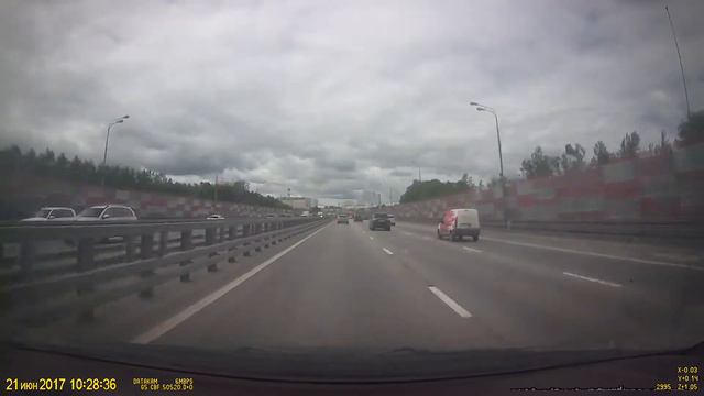 Утка с утятами, переходит проспект Маршала Жукова, в час пик. смотреть онлайн