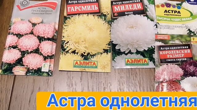 Цветник из неприхотливых и популярных сортов до новинок сезона I Обзор семян цветов
