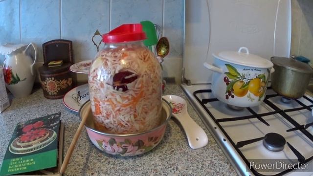 Делаем домашний сальтисон. Квасим вкусную капусту.Vlog.Брест