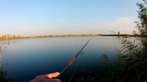 Беляевские карьеры плюс просто карьеры - за щукой .
