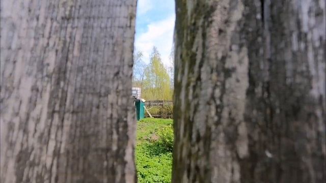 Кузьмолово сегодня. Прогулка.
