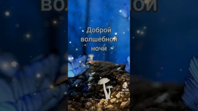 Спокойной ночи!!! Сладких снов!!! #видео #картинки #поздравление #ночь