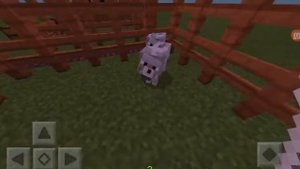ЧЕМ КОРМИТЬ И КАК РАЗМНОЖАТЬ ЖИВОТНЫХ В MINECRAFT 0. 17. 0. 1.