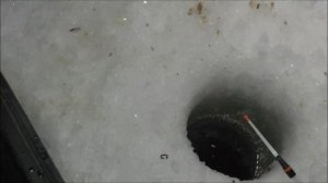 Супер клёв ))) Закрытие сезона зимней рыбалки!