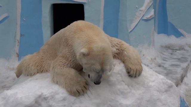 Кай с канистрой. Продолжение. 22.11.2021 смотреть онлайн