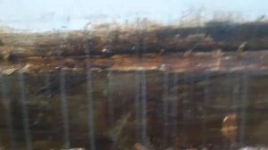 Спринтер 906,Крафтер.Не повторяйте ошибок,устраняйте вовремя!!