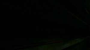 Русич на перегоне Молодёжная - Парк Победы