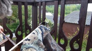 Реставрация старого стула.