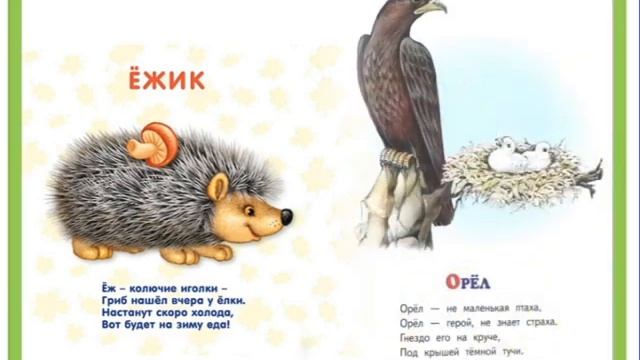 ПРЕЗЕНТАЦИЯ "Пять страниц про зверей и птиц"