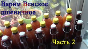 Варим пиво в кастрюле, венское пшеничное (Часть2)