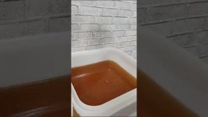 Мёд акации белой и жёлтой. Алтайский край