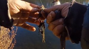 Ловля налима осенью 2021 . В поисках налимьих троп 3 часть . Налим 2021 . Рыбалка 2021 .