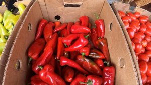Очаков 2021 Рыбный рынок/ Цены на продукты