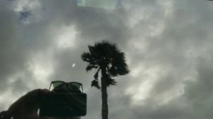 США Калифорния: автоматическая мойка