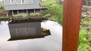 Пруд с рыбой на даче! Искусственно вырытый водоем на участке живет своей жизнью!
