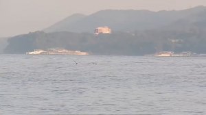 Агой Черное Море Турбаза Волна