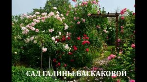 В память о Галине Баскаковой
